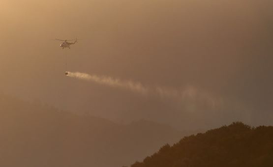 В Турция президентът обяви бедствено положение в най засегнатите от пожарите